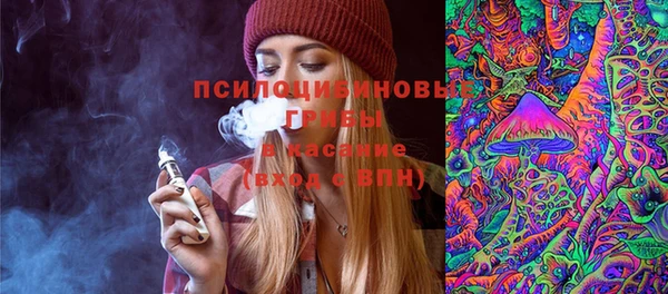 крисы Богородицк