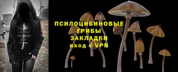 прущая мука Пересвет
