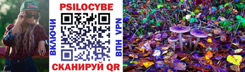 Псилоцибиновые грибы мицелий  Кукмор 